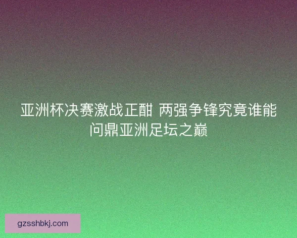 亚洲杯决赛激战正酣 两强争锋究竟谁能问鼎亚洲足坛之巅